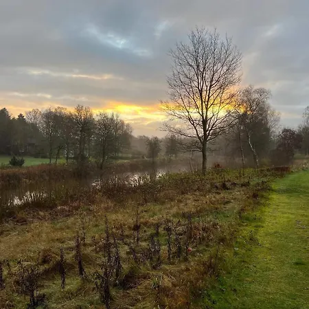 6 Person In Give-by Traum *