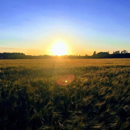 6 Person In Give-by Traum Holiday home Give