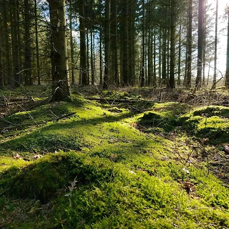 Holiday home 6 Person In Give-by Traum *